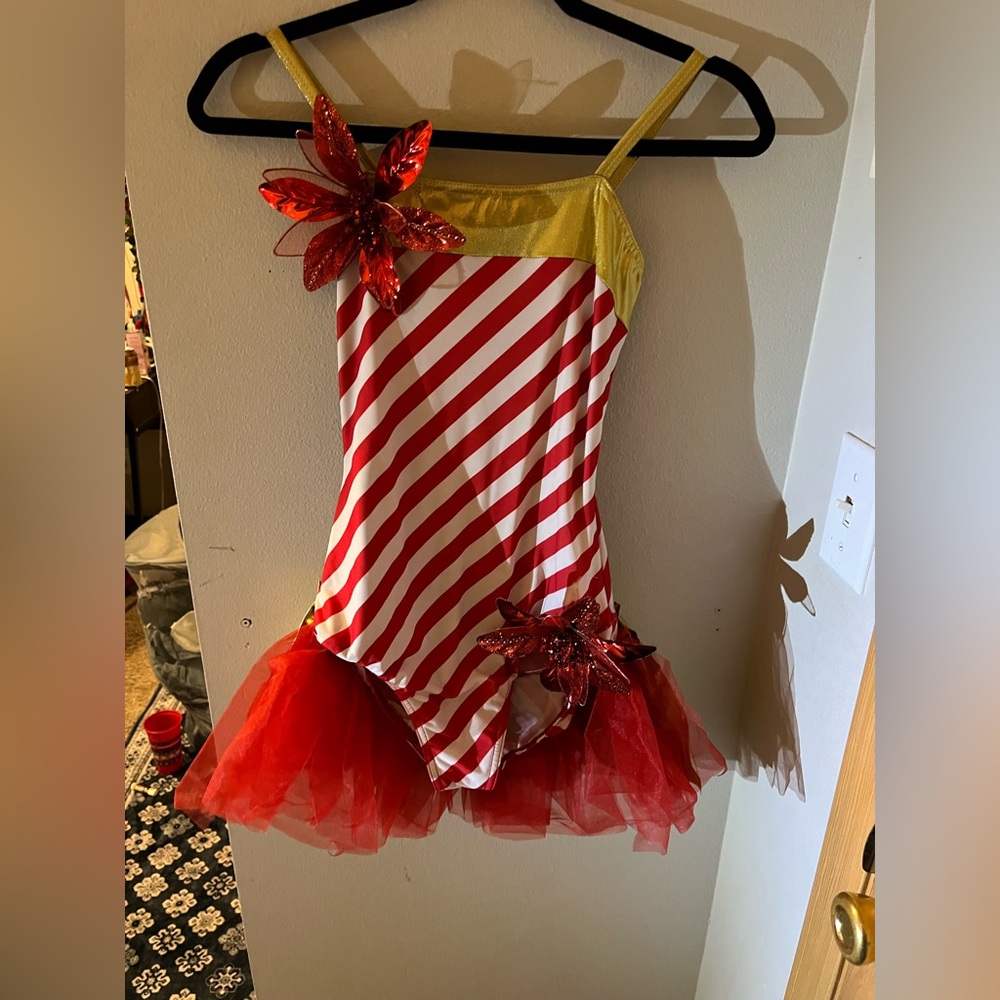 ADULT SMALL dance costume Red and Gold Striped Leotard with a red skirt behind
